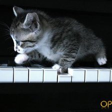 Схема вышивки «котенок и пианино»