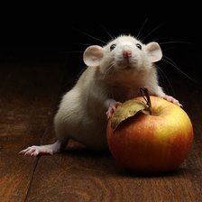 Схема вышивки «Мышонок с яблоком»