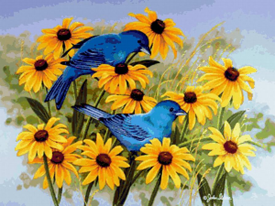 Серия "Птицы" - птицы, цветы, рудбекия - предпросмотр