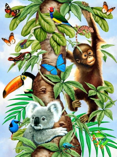 Райский Уголок - папугаи, птицы, ветка дерева, обезьяна, природа, бабочки - оригинал