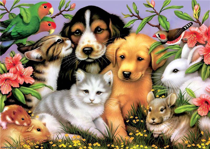 Домашние Милашки - собака, пейзаж, кролик, домашни, животные, кошка, картина, мышь, папугай - оригинал