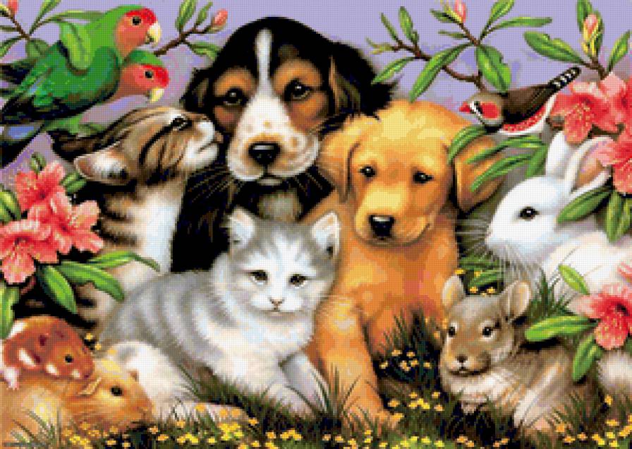 Домашние Милашки - папугай, пейзаж, собака, кошка, животные, мышь, домашни, кролик, картина - предпросмотр