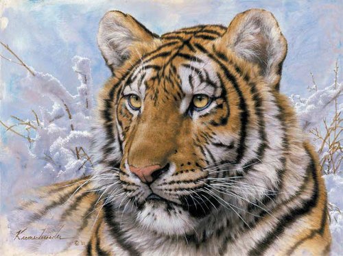 Сибирски Взгляд Тигра - хищник, животное, взгляд, зверь, тигр, дикая кошка - оригинал