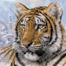 Схема вышивки «Сибирски Взгляд Тигра»