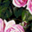 Предпросмотр схемы вышивки «Натюрморт с розами» (№278561)