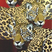 Схема вышивки «Леопарды»