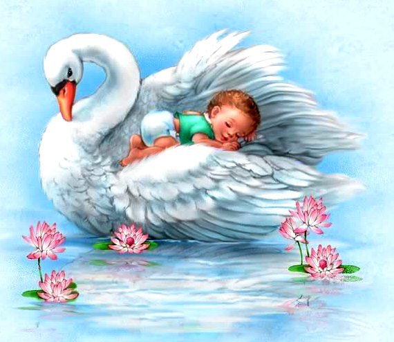 Для Новорожденного - ребенок, сон, детки, лебедь, малыши, новорожденные, птица - оригинал