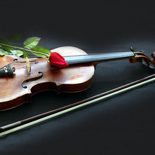 Схема вышивки «Роза на скрипке»