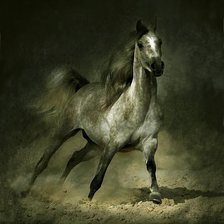 лошадь 55