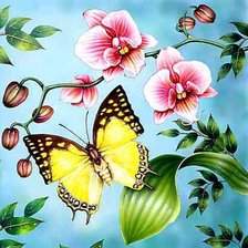 Схема вышивки «Бабочка и орхидеи»