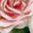 Предпросмотр схемы вышивки «букет роз» (№288297)