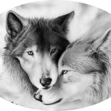 Оригинал схемы вышивки «волки» (№288366)