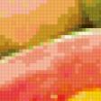 Предпросмотр схемы вышивки «фрукты и овощи» (№288581)