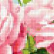 Предпросмотр схемы вышивки «розы» (№289105)