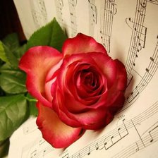 Схема вышивки «rose and music!»