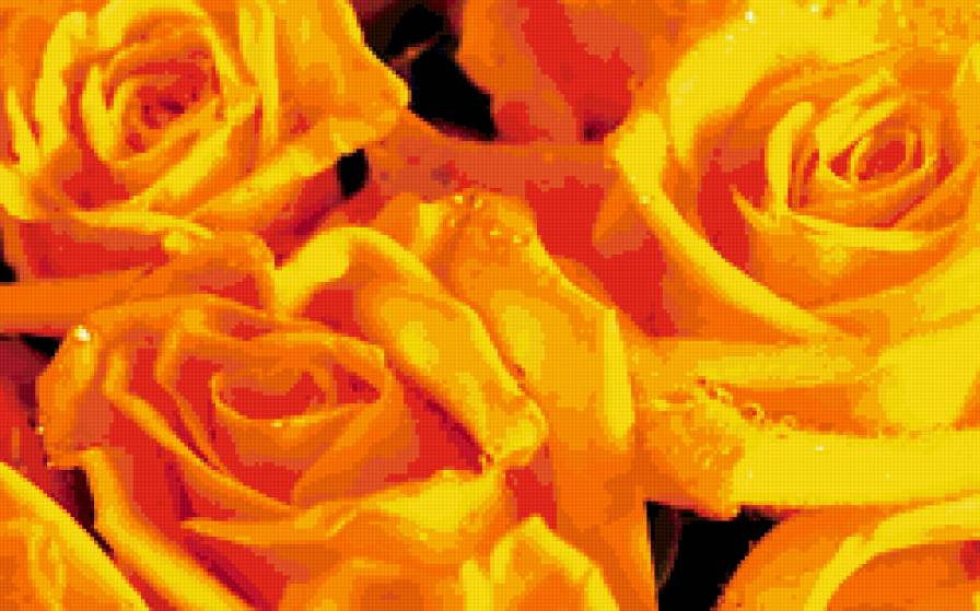 изумительные розы - бутоны, розы, подушка, желтые - предпросмотр