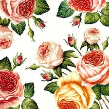 Схема вышивки «Розы для подушки»