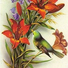 Оригинал схемы вышивки «Цветы и птички» (№302174)