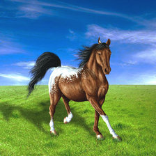 Оригинал схемы вышивки «Лошадь в поле» (№302236)