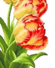 Оригинал схемы вышивки «тюльпаны» (№303405)