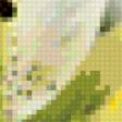 Предпросмотр схемы вышивки «белые лилии» (№306695)