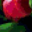 Предпросмотр схемы вышивки «Тюльпаны» (№306856)