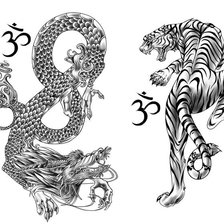Схема вышивки «тигр против дракона»