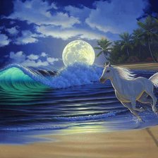 белый конь на морском берегу