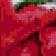 Предпросмотр схемы вышивки «красные розы» (№315591)