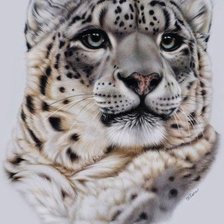 Оригинал схемы вышивки «леопард» (№318876)