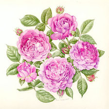 Оригинал схемы вышивки «Нежные розы» (№321850)
