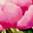 Предпросмотр схемы вышивки «Нежные розы» (№321860)