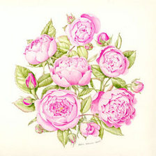 Оригинал схемы вышивки «Нежные розы» (№321860)