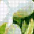 Предпросмотр схемы вышивки «Белые цветы» (№322053)