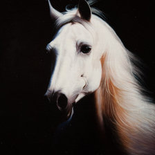 Оригинал схемы вышивки «Лошадь белая» (№329263)