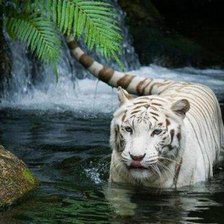 Схема вышивки «тигр у воды»