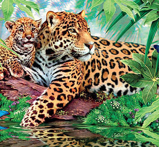 леопарды - леопарды, хищники, кошки, природа - оригинал