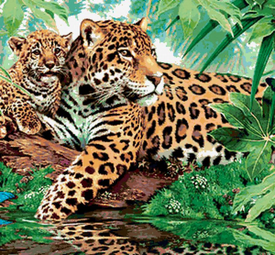 леопарды - природа, кошки, хищники, леопарды - предпросмотр