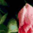 Предпросмотр схемы вышивки «тюльпаны» (№335185)