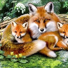 Схема вышивки «Семейство лисичек»