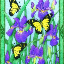 Оригинал схемы вышивки «Цветы и бабочки» (№337921)