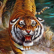 тигр 1