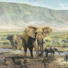 Схема вышивки «Семья слонов на водопое.»