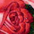 Предпросмотр схемы вышивки «цветы3» (№339057)
