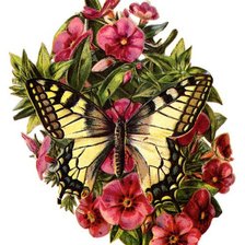 Оригинал схемы вышивки «бабочка» (№341448)