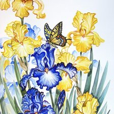 Оригинал схемы вышивки «Ирисы и бабочки» (№342449)