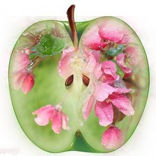 Схема вышивки «Цветочное яблоко»