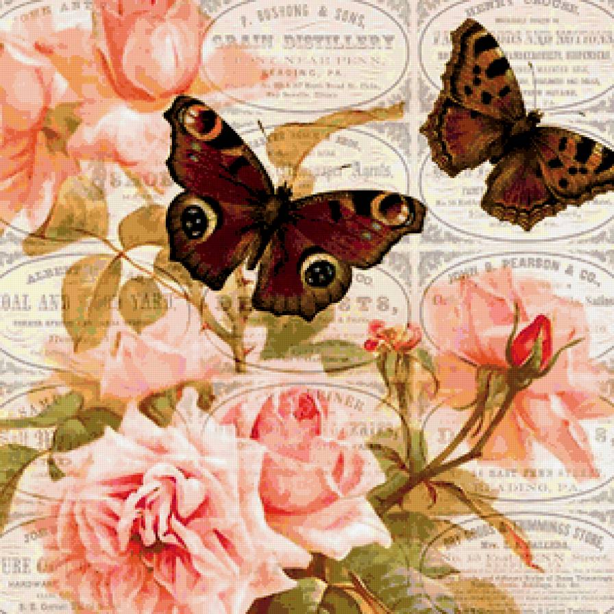 цветы и бабочки - розы - предпросмотр