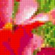 Предпросмотр схемы вышивки «Цветы» (№346212)