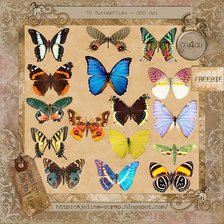 Оригинал схемы вышивки «Бабочки» (№346406)